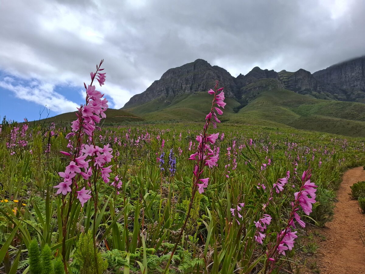 Safety at Helderberg Nature Reserve