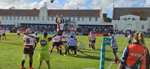 Cape dominance continues as Western Province XV tame Lions