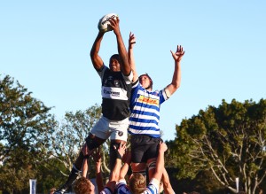 Fifteen Sharks named in SA schools squads after craven week