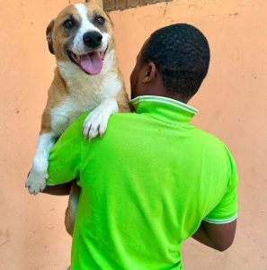 Dog’s reunion in Malawi brings hope for more pet rescues