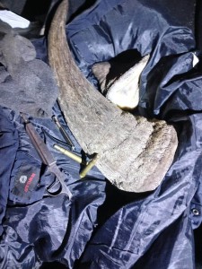 Two suspected Rhino poachers in court: horns and rifles recovered