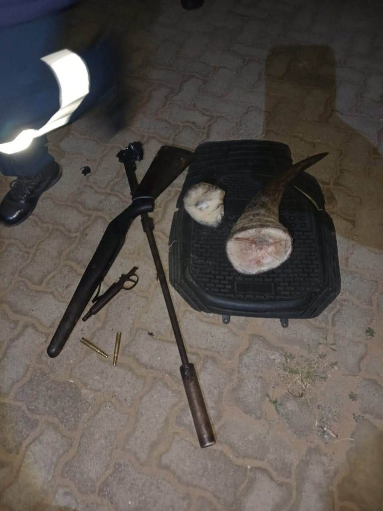 Rhino horns, rifles 