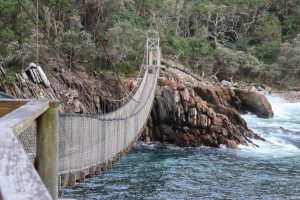 Storms River Suspension Bridge stays open during repairs