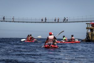 Storms River Suspension Bridge closed for final upgrades