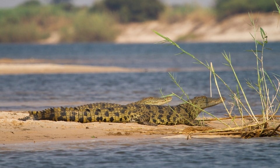 Ten Ethiopians presumed drowned crossing into Botswana