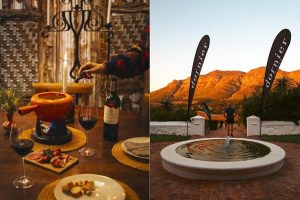 Wine town Stellenbosch returns as wine routes celebrate 55 years