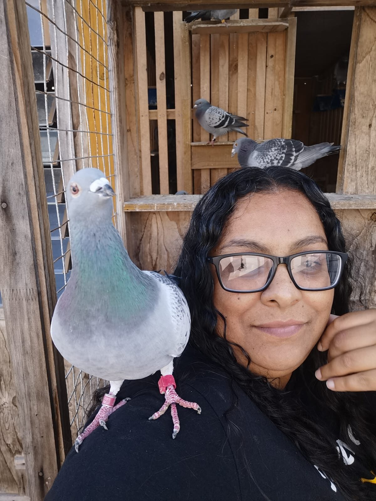 Strandfontein pigeons dominate Calvinia race podium
