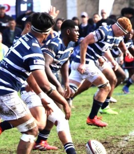 Wynberg chase first Grand Slam since 2014 after Bishops rout