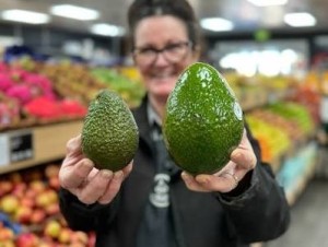 Giant avocado takes social media by storm as Woolworths launches Avozilla