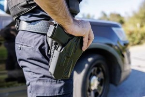 Calls for the withdrawal of firearm bill and security regulation amendments