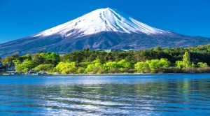 Japan issues tsunami alert after 7.1-magnitude quake