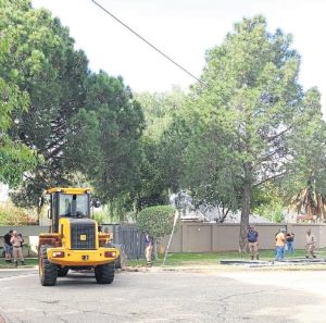 Municipality ordered to pay R237 732 for unlawful demolition of security gates
