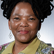DA says 51 people killed in taxi violence in the Cape