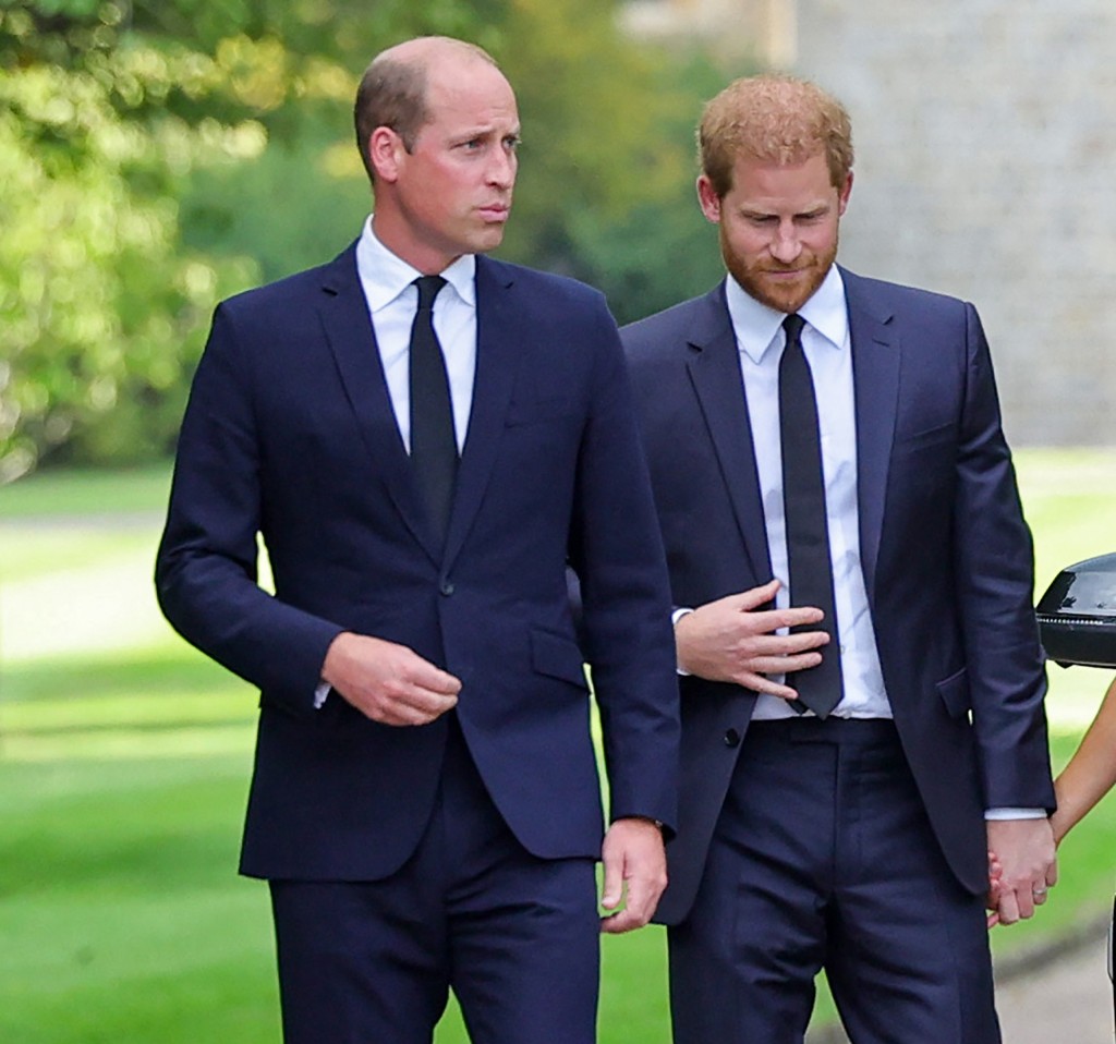 Britain's Prince William (L), Prince of Wales, and Britain's Prince Harry on the long Walk at Windsor Castle.