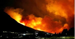 Belgium battles biggest wildfire in modern history as blaze engulfs 3 000 hectares