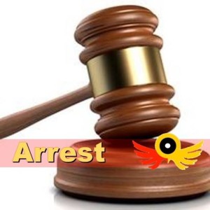 Nigerian drug kingpin arrested over alleged drug mule recruitment and human trafficking