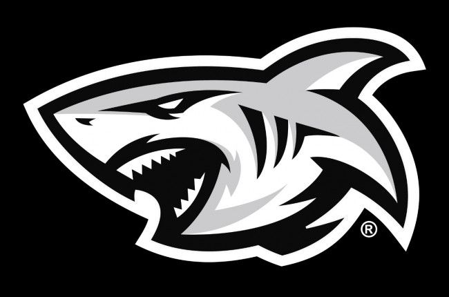 The Sharks' new look logo.