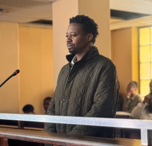 Alleged UK fugitive pleads guilty to firearms and immigration charges