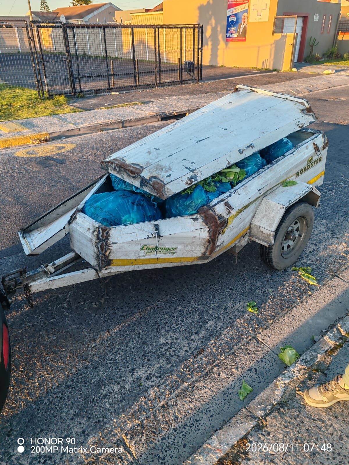 ‘My cabbages’: thieves caught with stolen vegetables in Strandfontein