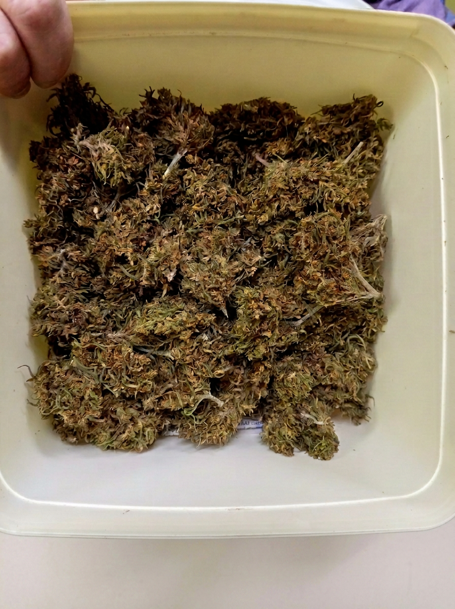 Police seized dagga with an estimated street value of R6 700.