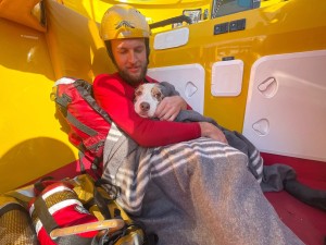 NSRI rescues Australian shepherd Bean from rip currents at Pollock Beach