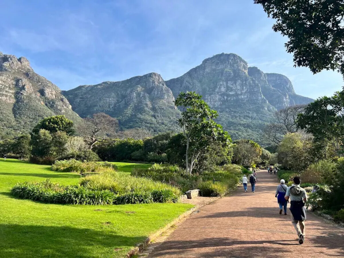 SANBI faces R839m infrastructure backlog as botanical gardens deteriorate