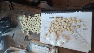 Contraband smuggling attempt foiled at maximum-security centre