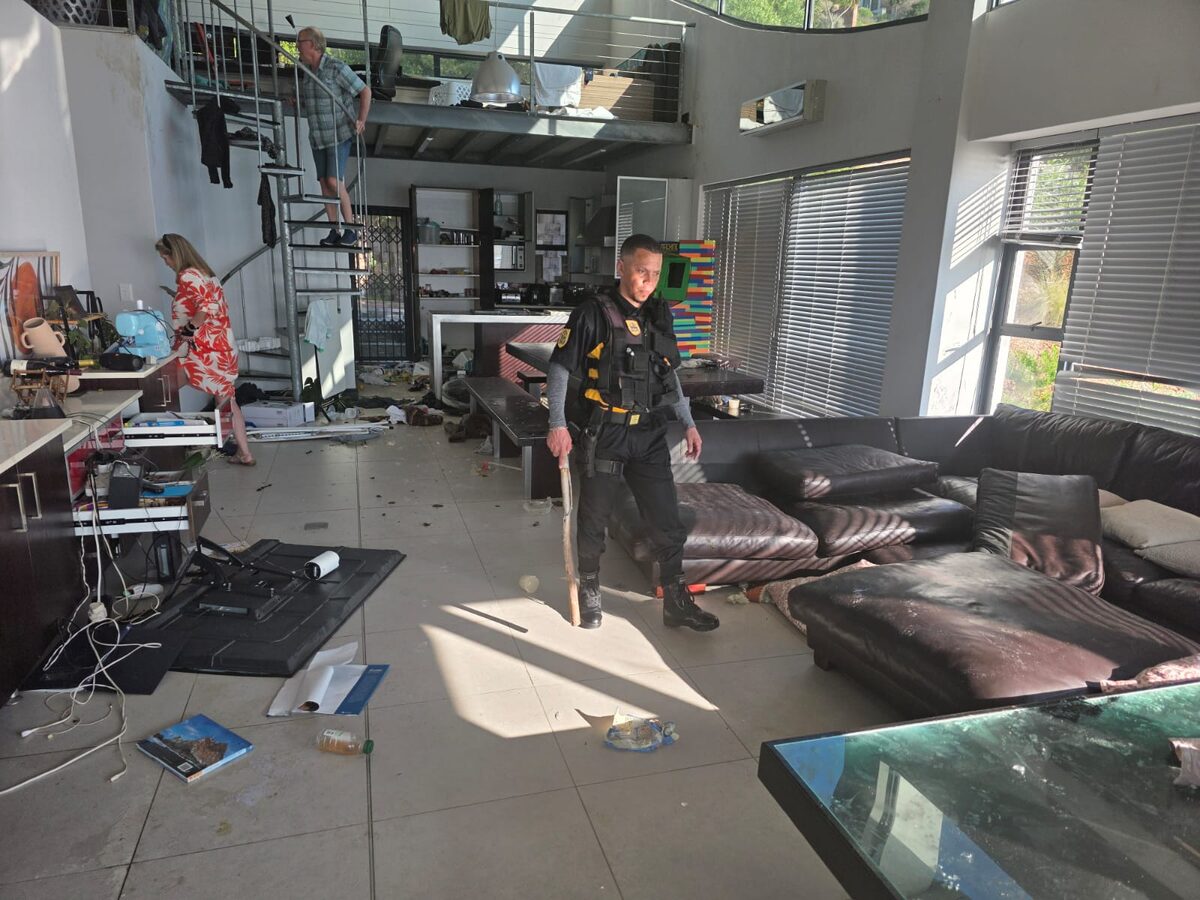 Baboon troop trapped inside Gordon’s Bay home causes widespread destruction