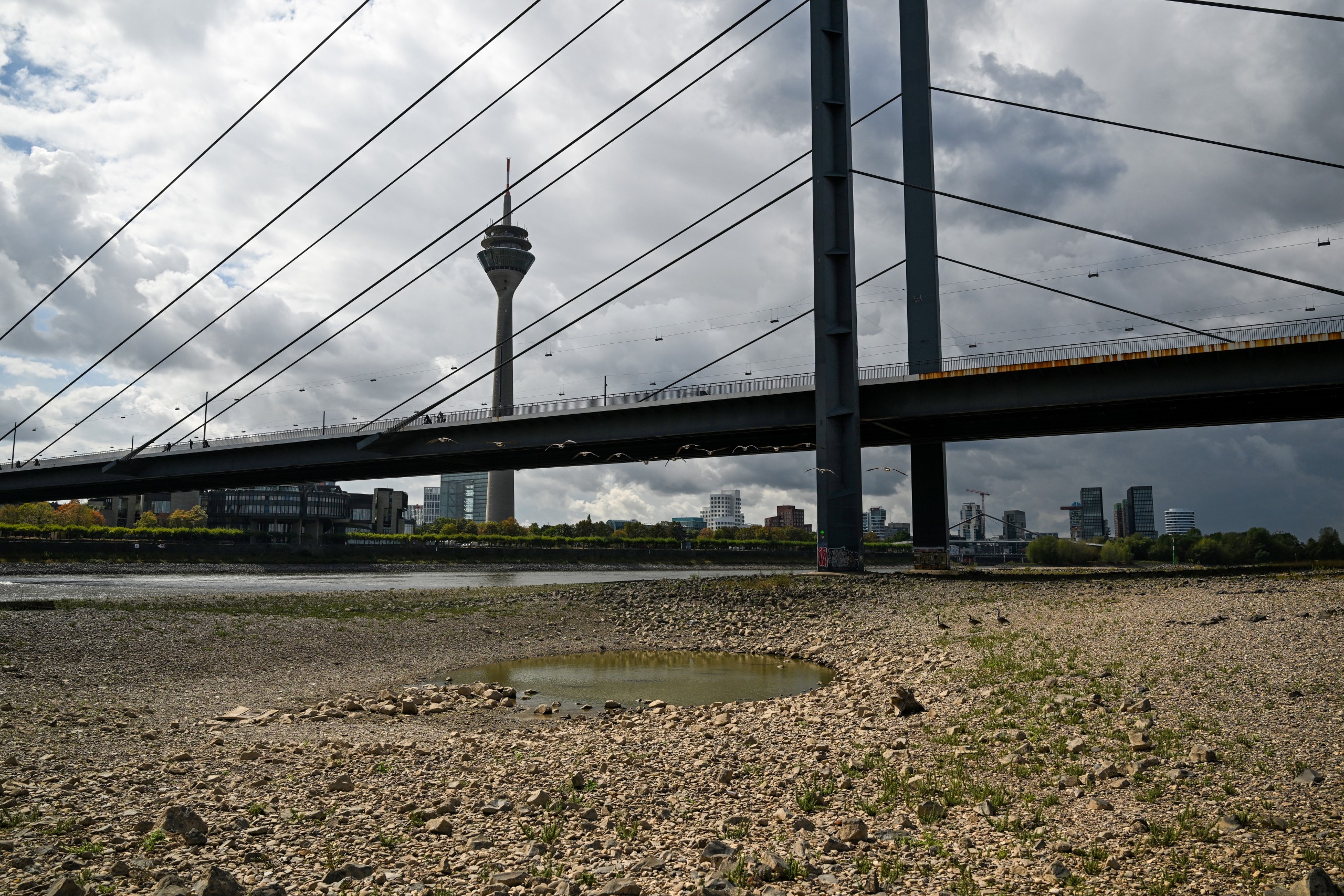Rhine River drought.