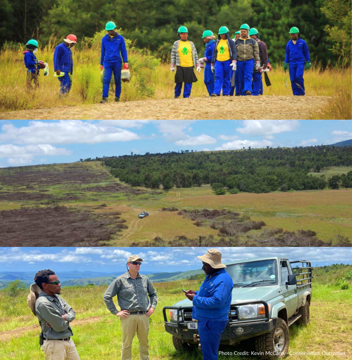 Nature’s 2.76-million-hectare win