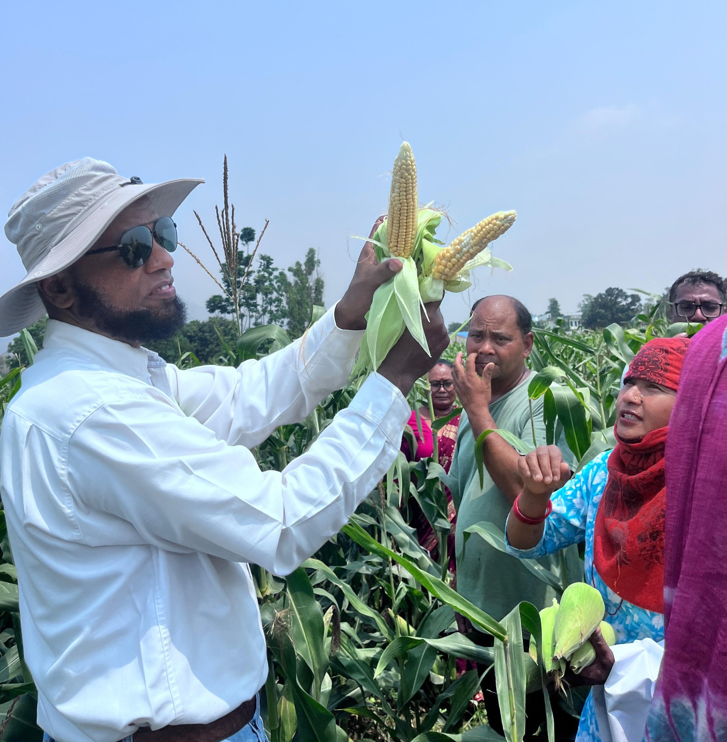 UFS alumnus recognised for research on maize