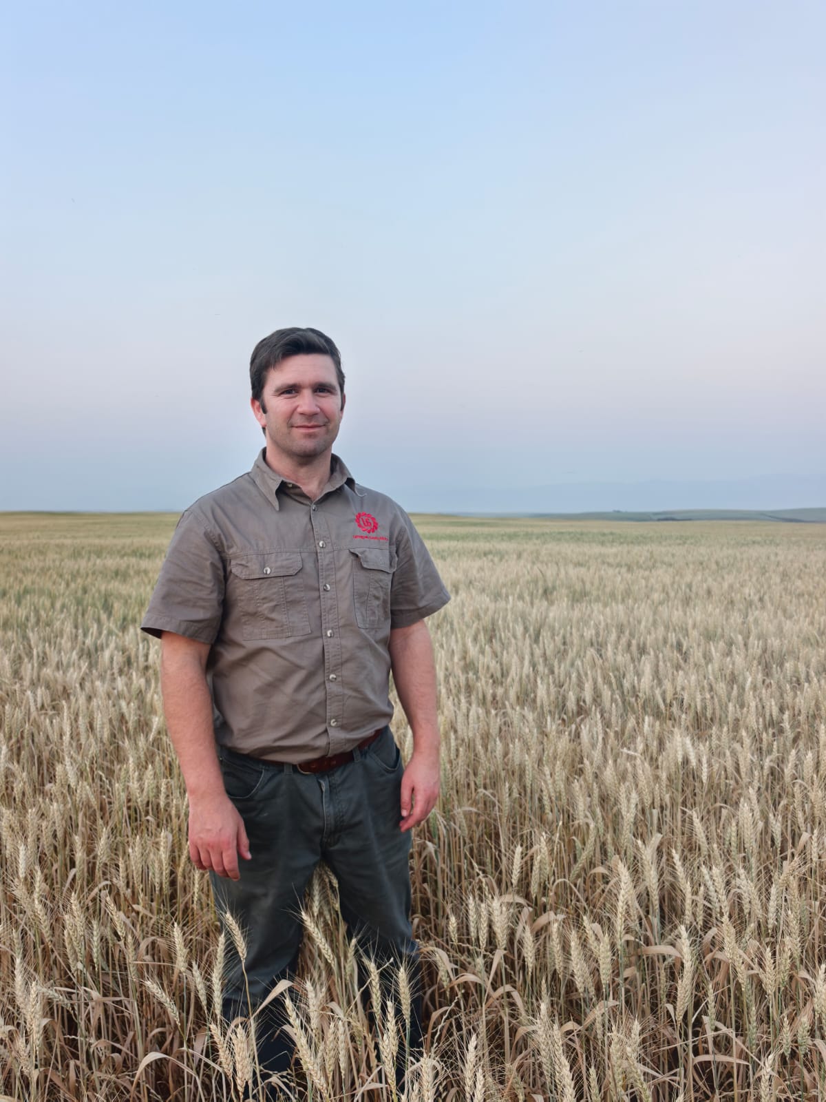 Swartland-koringboere vra gelyke speelveld midde-in kommer oor droogte