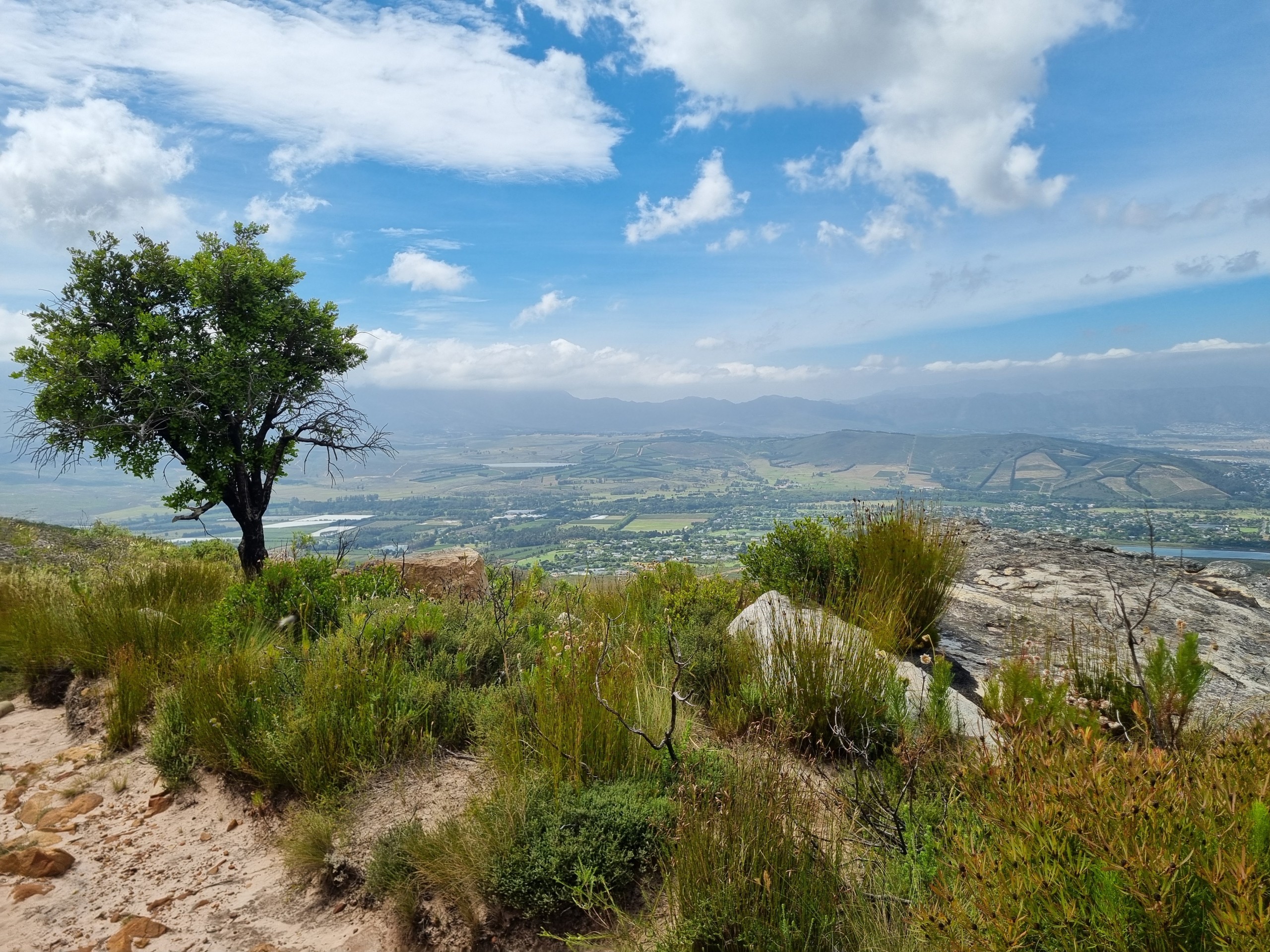 Free access to City nature reserves.