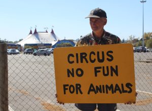 Circuses in the crosshairs as Cape Town moves to ban wild animals in circus acts