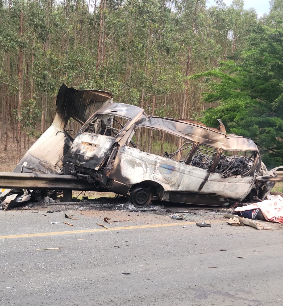 Eleven people died in a horrific crash on N2