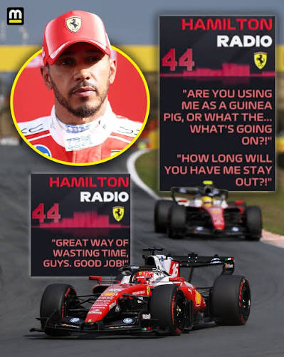 Lewis Hamilton's frustrated radio messages. 