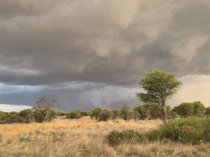 Gure weer en moontlike sneeu voorspel vir Kaap-provinsies