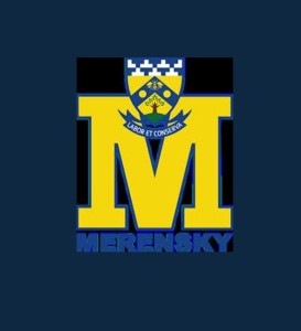 Gloeilampprojekte – Merensky Gr. 9’s laat die ligte brand
