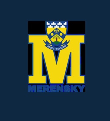 Gloeilampprojekte - Merensky Gr. 9's laat die ligte brand