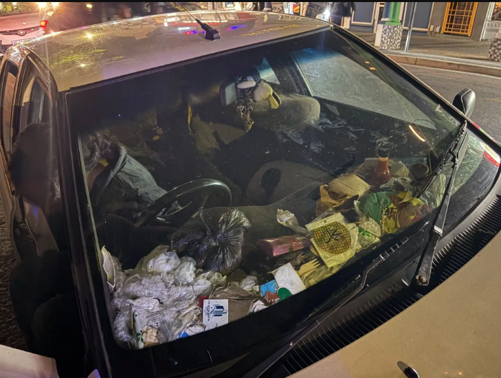 dogs seized, owner arrested