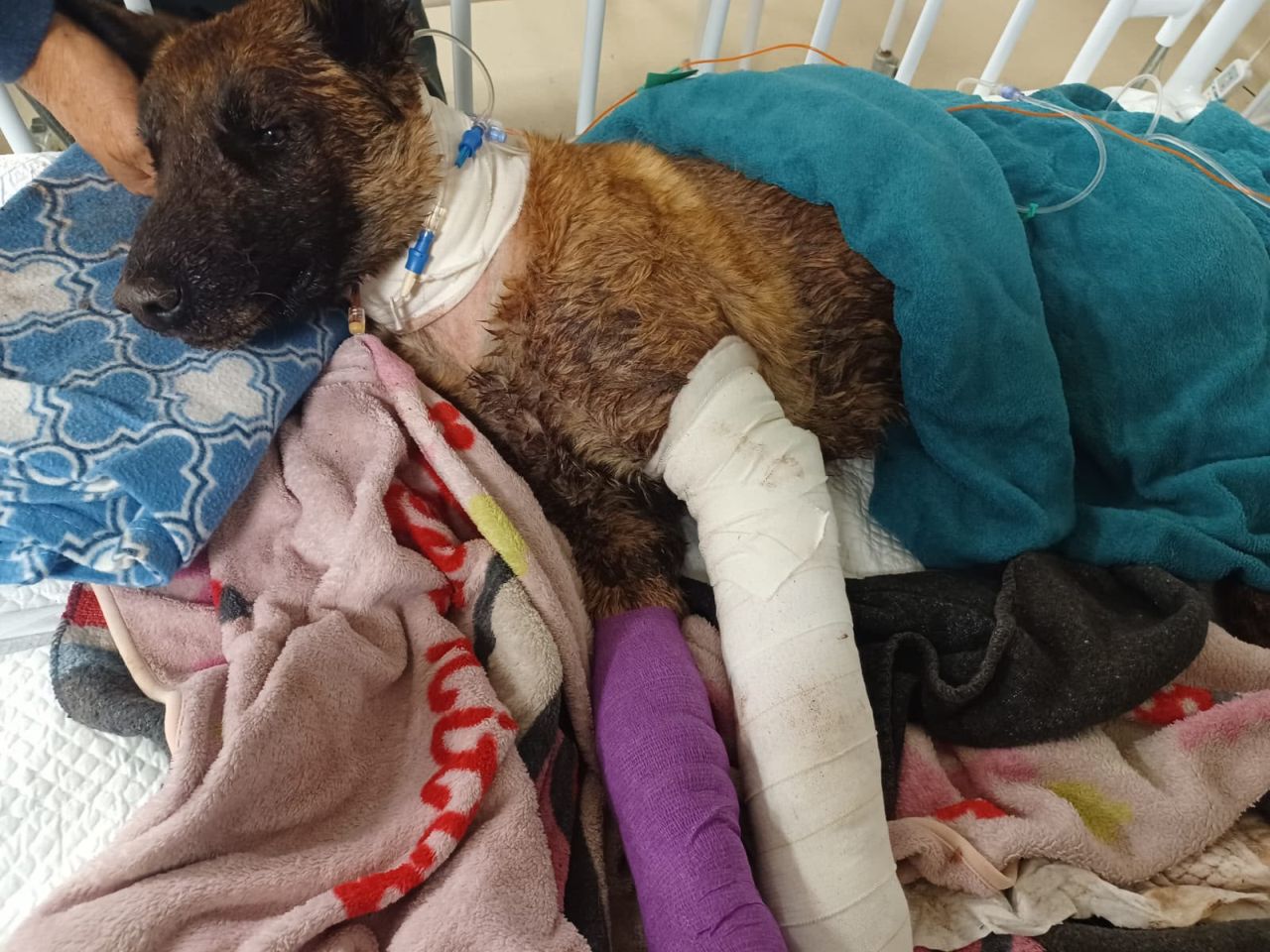 Sky after she received treatment for her injuries.