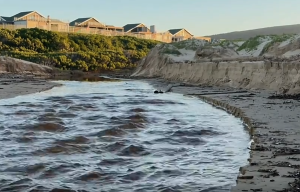 Sandbags proposed to tackle Diaz Beach erosion threat