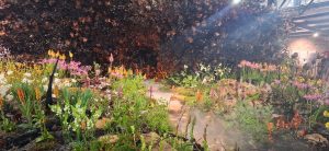 Stanford in Bloom welcomes world-champion floral display