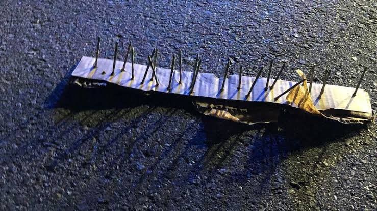 A motorist was shot and killed during an alleged robbery on the N1.