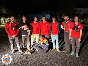 WSAR volunteers rescue stranded hound from Table Mountain cliff ledge