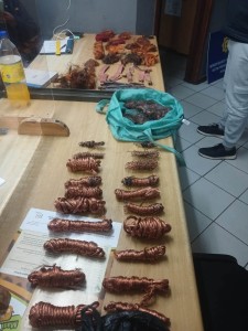 Man arrested after 17.52kg of copper cables recovered in Kenton-on-Sea