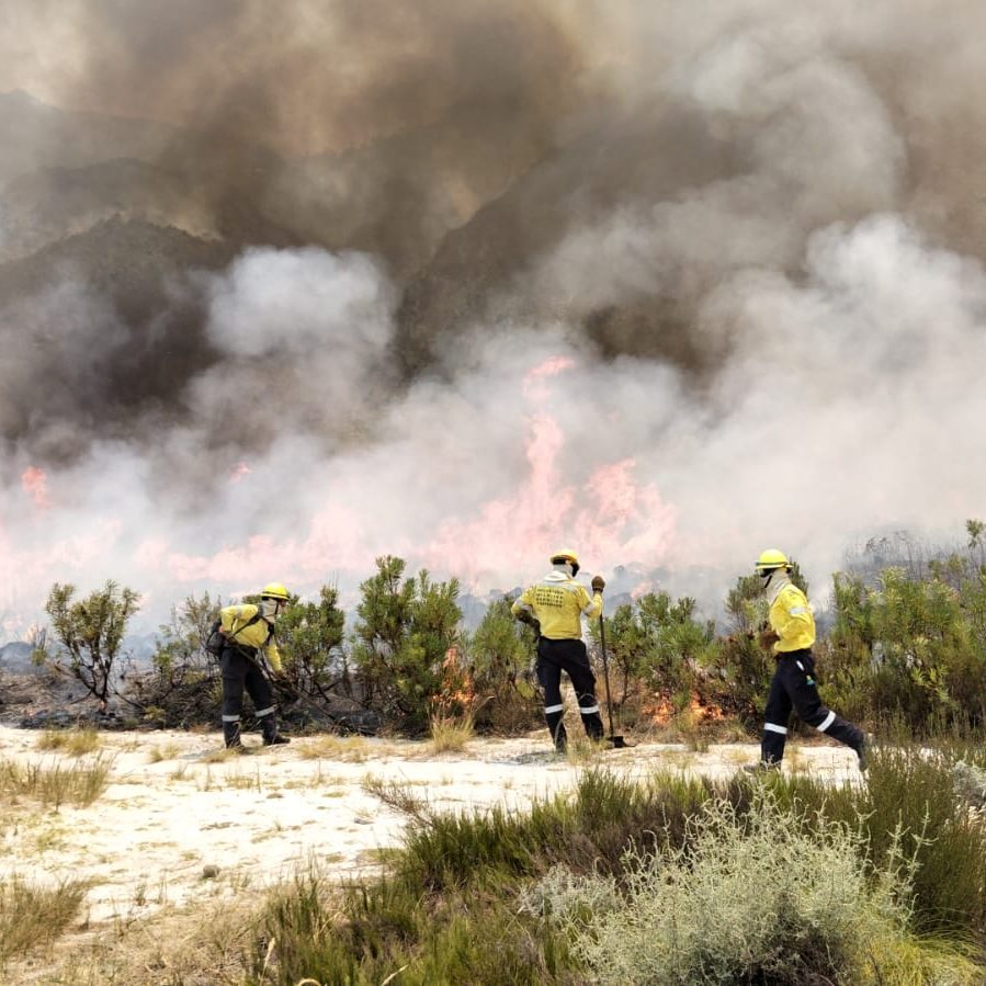 Fire Season