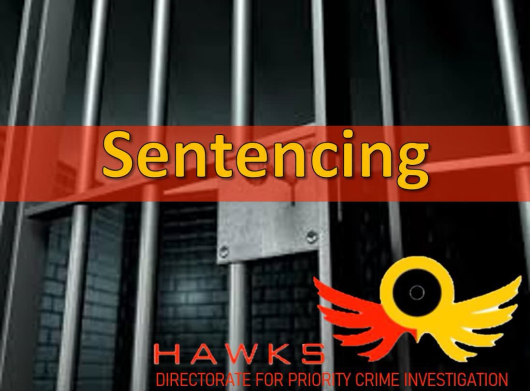 Hawks sentencing