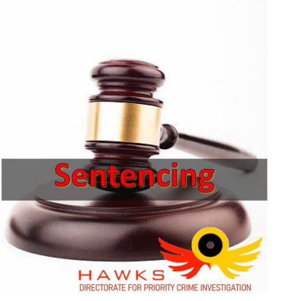 Hawks sentencing