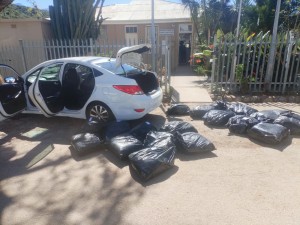 Police net R720k dagga haul, and Mandrax stash in Western Cape raids